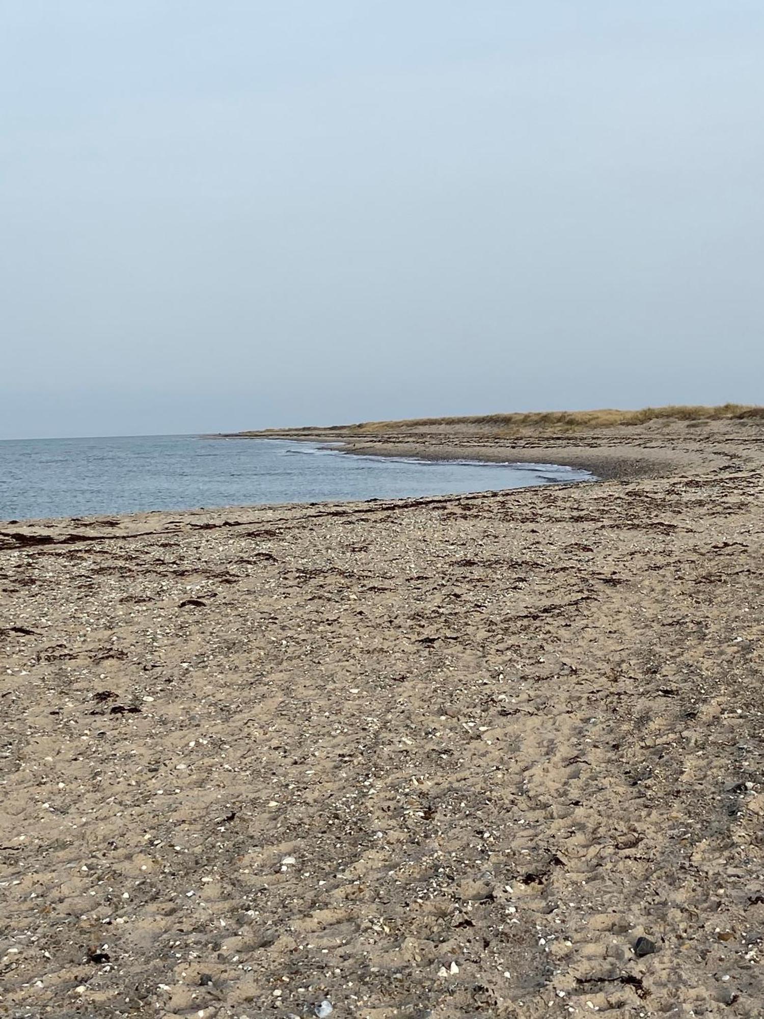 Ferienwohnung Sued Fehmarn Dış mekan fotoğraf